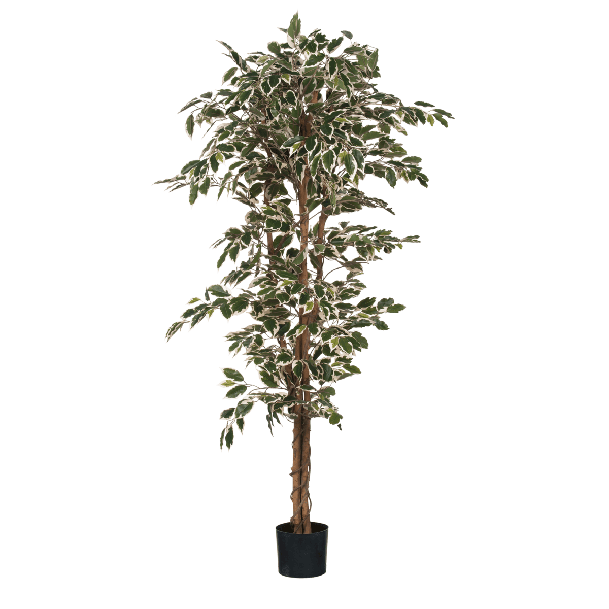Mica Decorations Ficus Kunstplant - H180 x Ø90 cm - Groen Bont