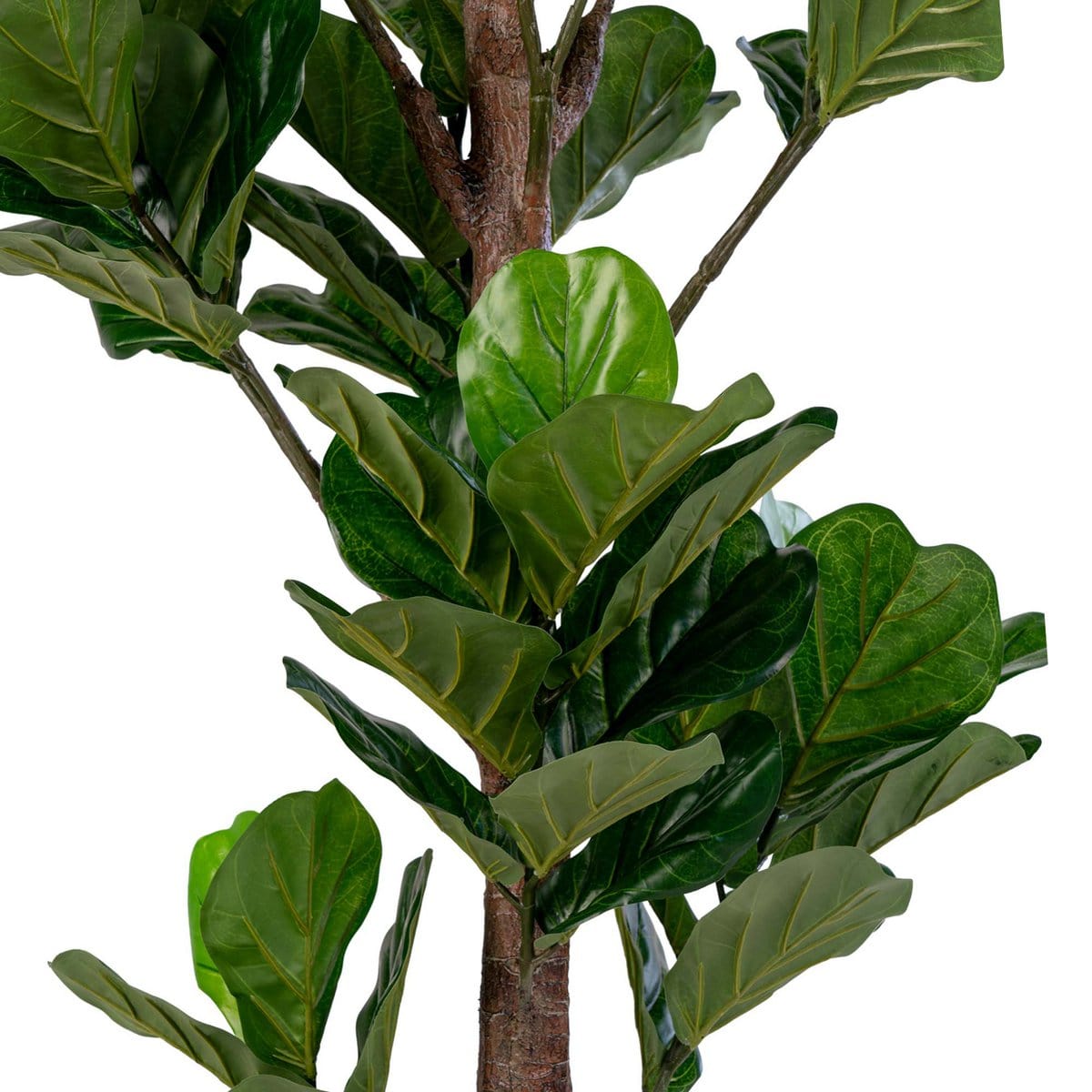 House Nordic ApS Fiddle Leaf Tree