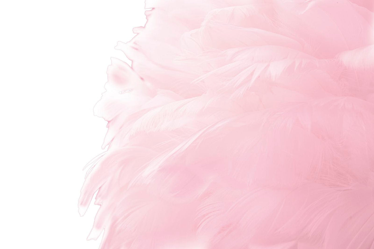 Mauro Ferretti FLOOR LAMP SLIM PINK CM Ø 50X165