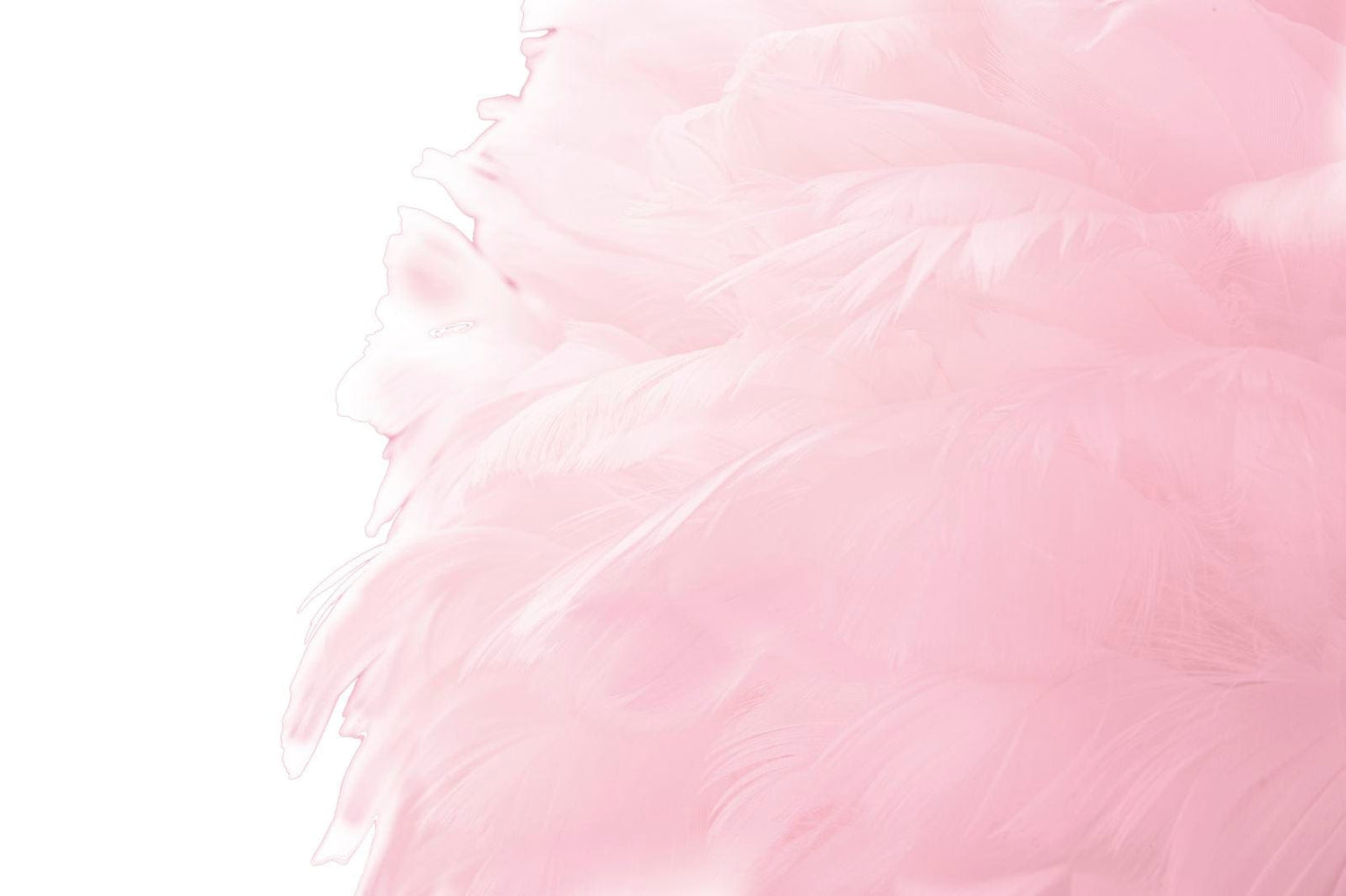 Mauro Ferretti FLOOR LAMP SLIM PINK CM Ø 50X165