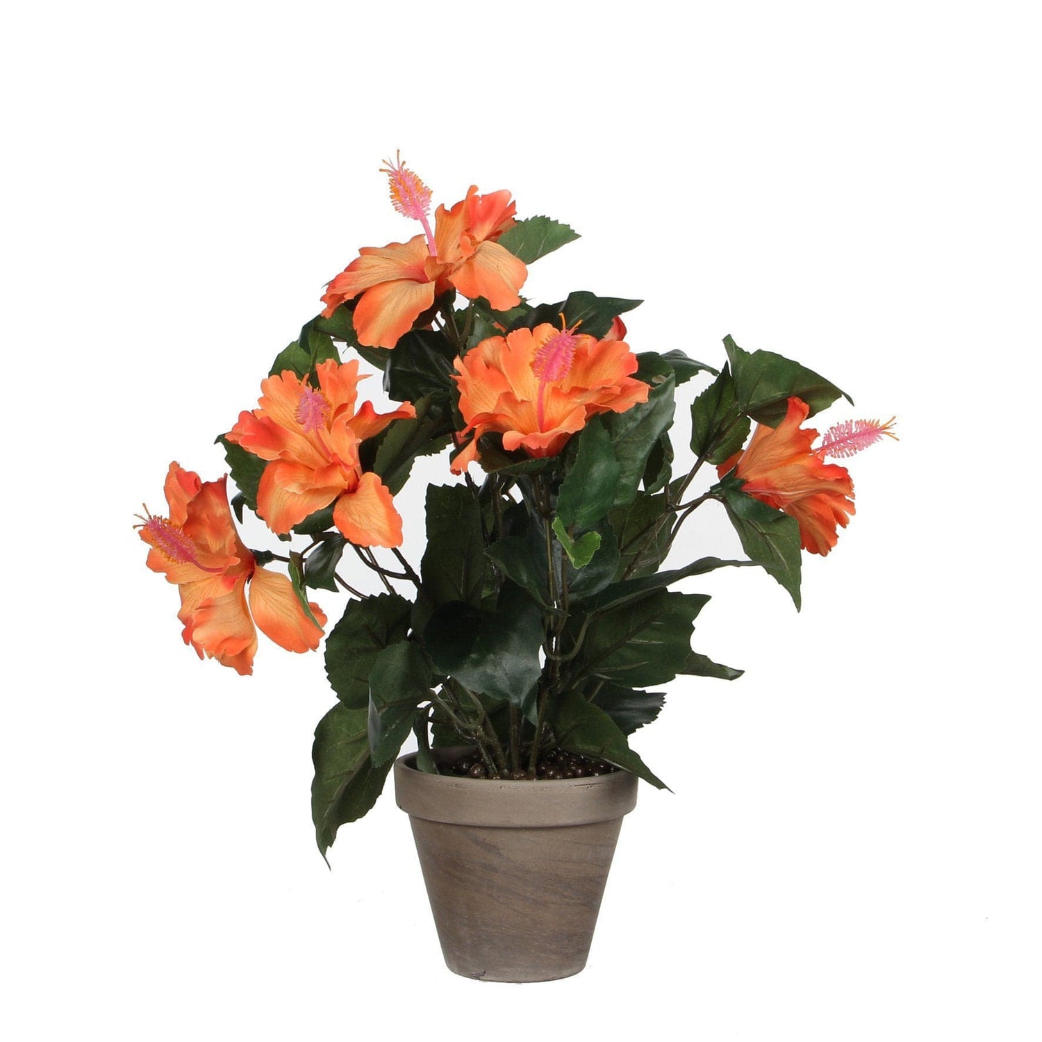 Mica Decorations Hibiscus orange in pot Stan grey d11,5cm - h40xd30cm