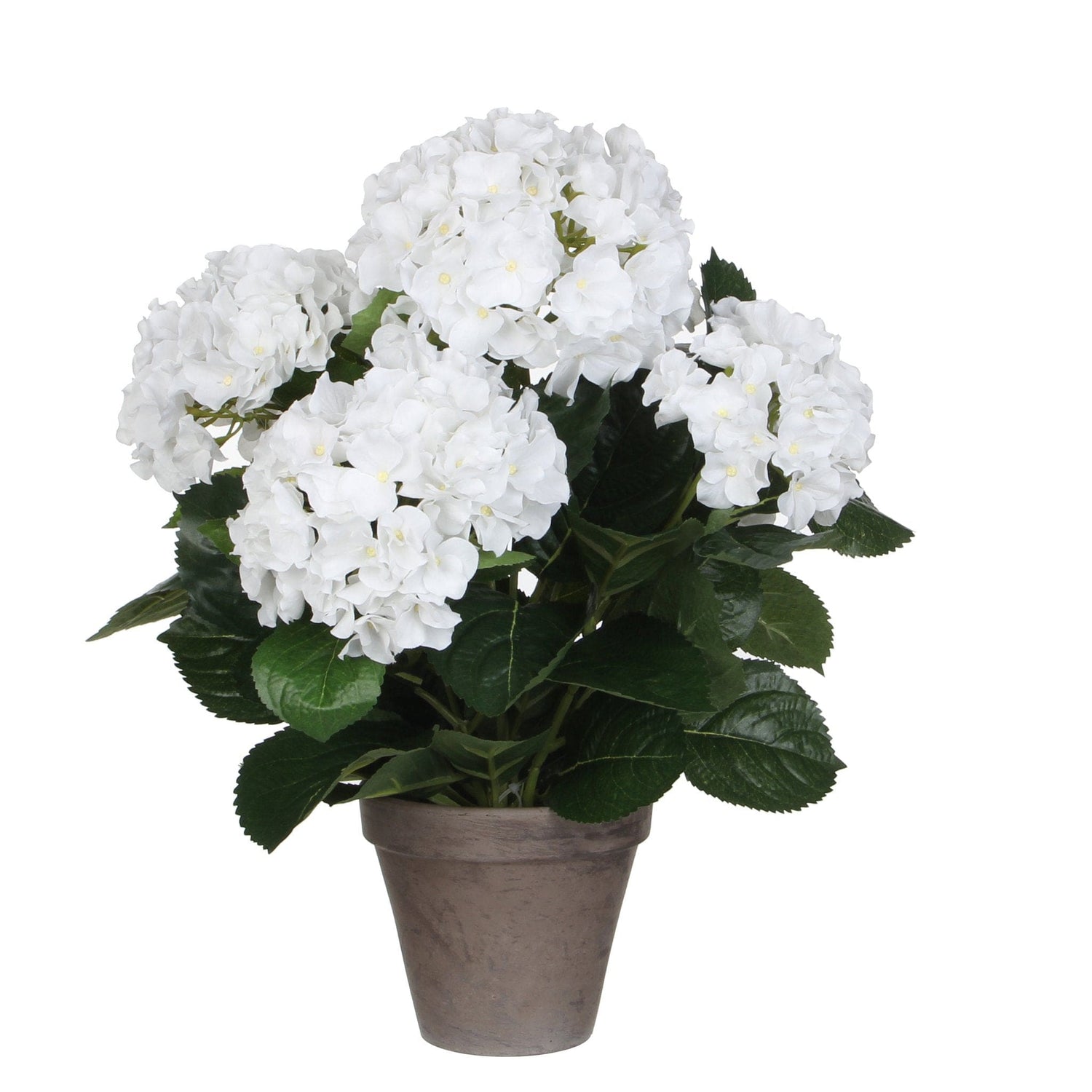 Mica Decorations Hydrangea white in pot Stan grey d13,5cm - h45xd45cm