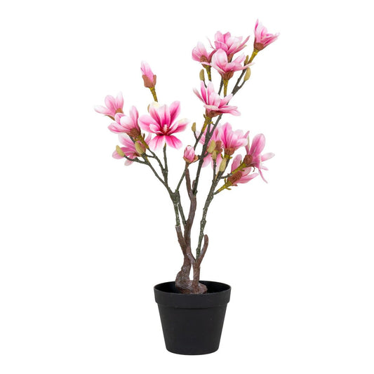 House Nordic ApS Magnoliaboom - Groen, Roze