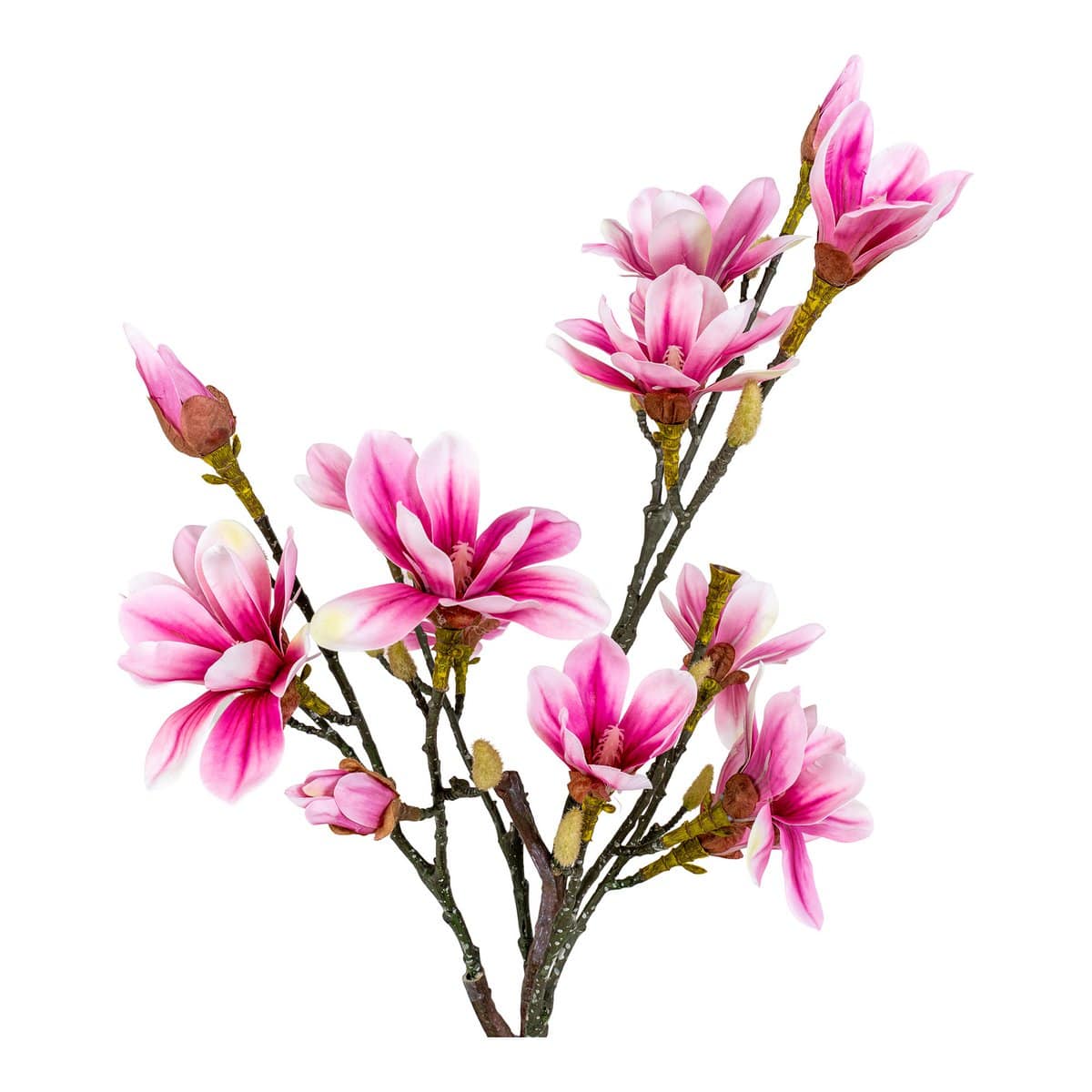 House Nordic ApS Magnoliaboom - Groen, Roze