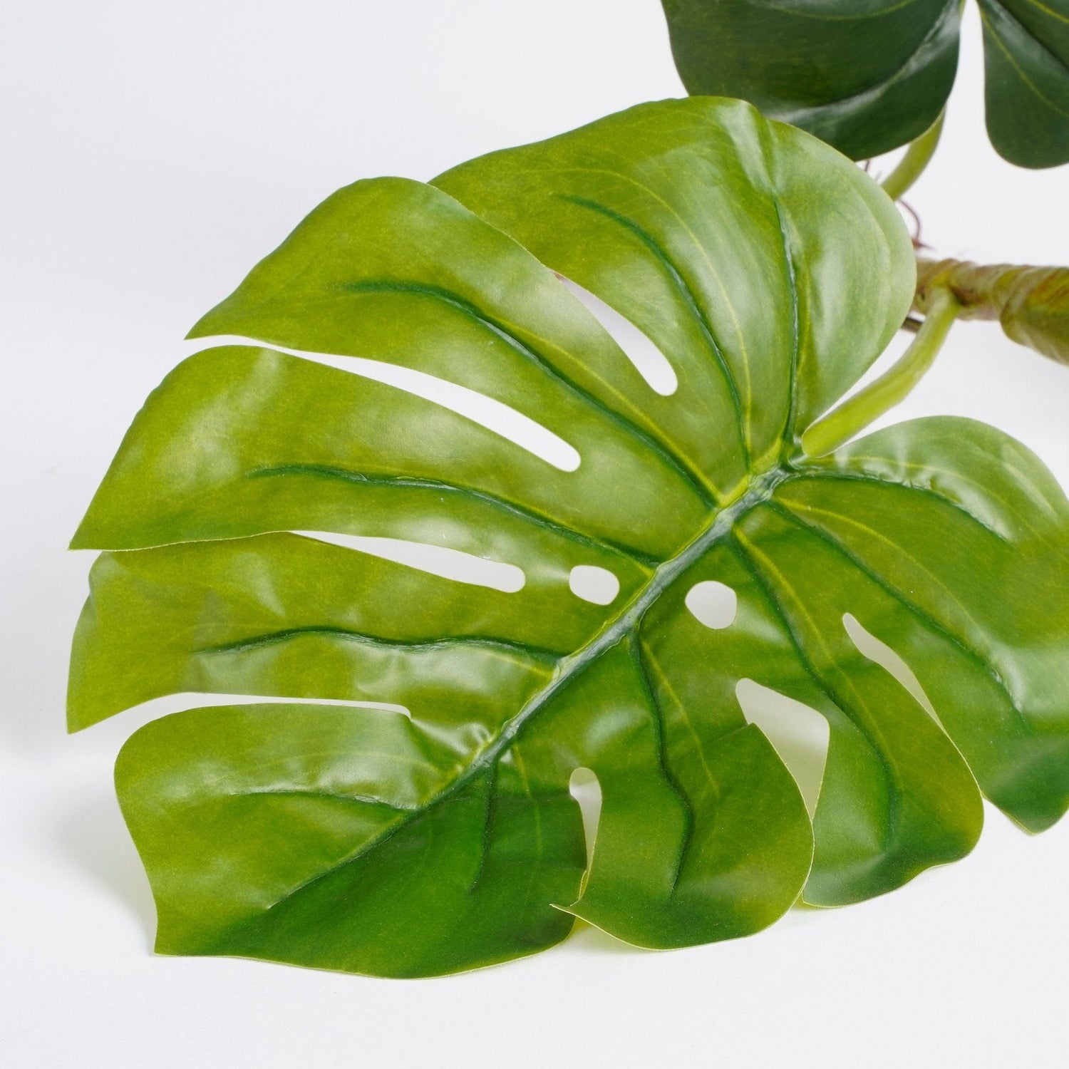 Mica Decorations Monstera with roots green - l54xw21xh12cm