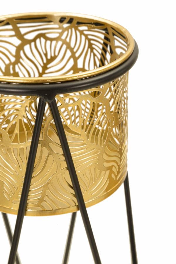 Mauro Ferretti VASE HOLDER DRAK SET 2 PCS CM 21X20X46-18X18X32